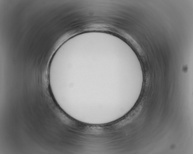 X0000116631370201001081244