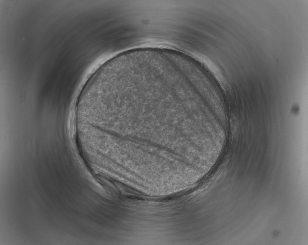 X0000116631371201001081244