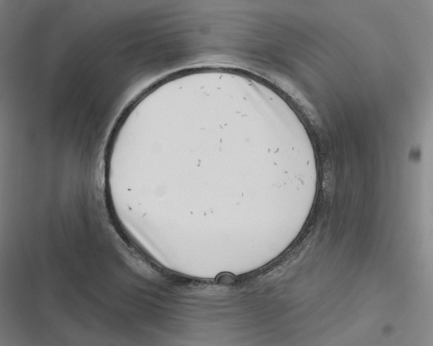 X0000116631372201001081244