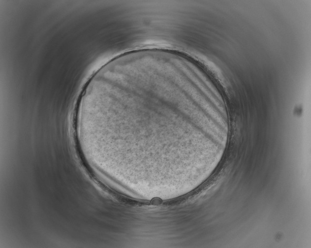 X0000116631373201001081244