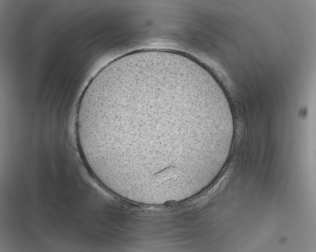 X0000116631374201001081243