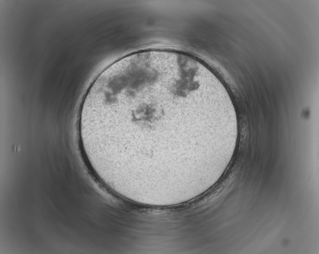 X0000116631375201001081243
