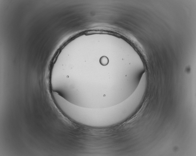 X0000116631376201001081243