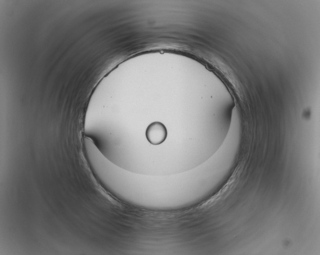 X0000116631377201001081243
