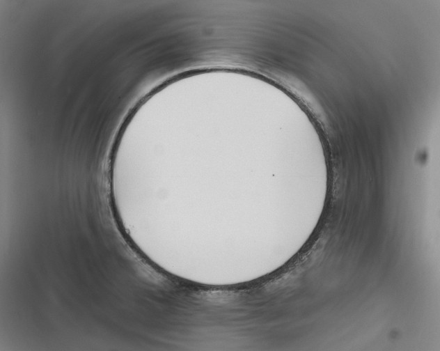 X0000116631380201001081243