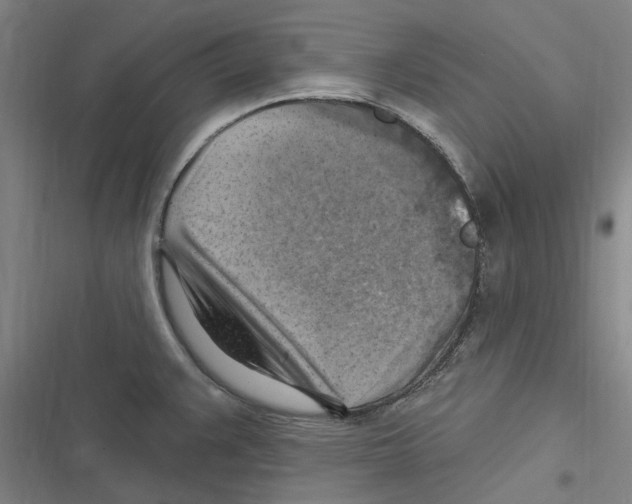 X0000116631383201001081243