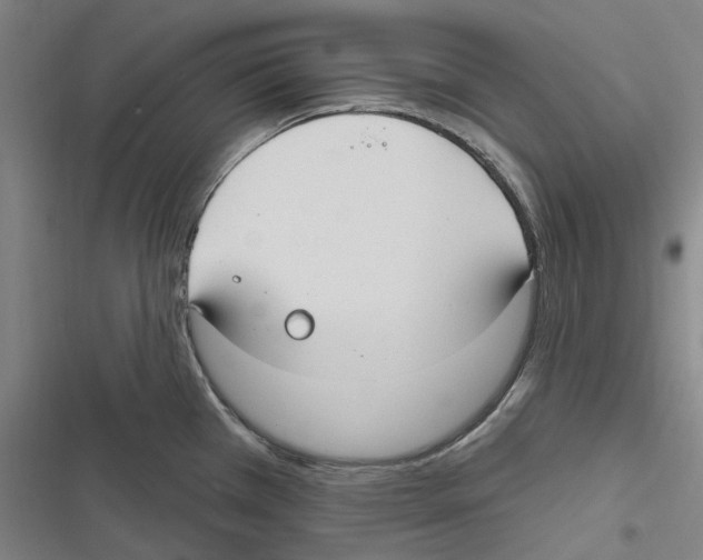 X0000116631385201001081243
