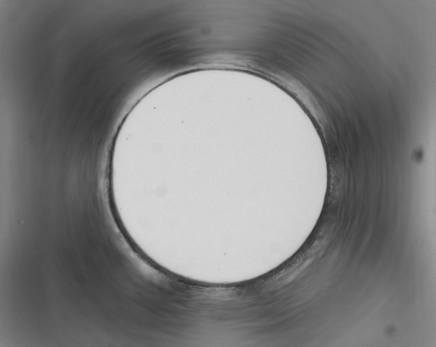 X0000116631387201001081243