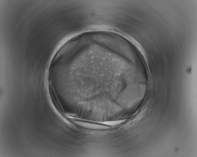 X0000116631389201001081243
