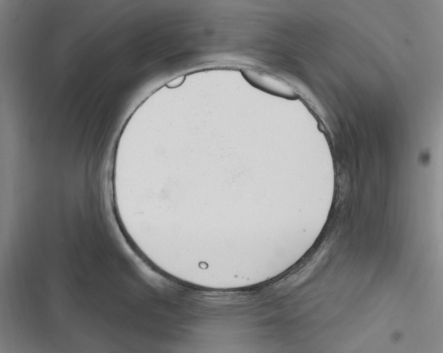 X0000116631391201001081243