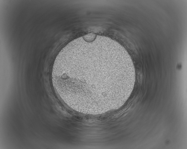 X0000116631393201001081243
