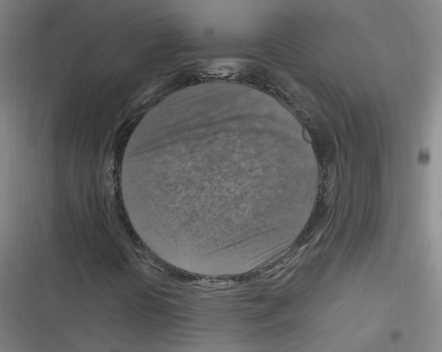 X0000116631394201001081243