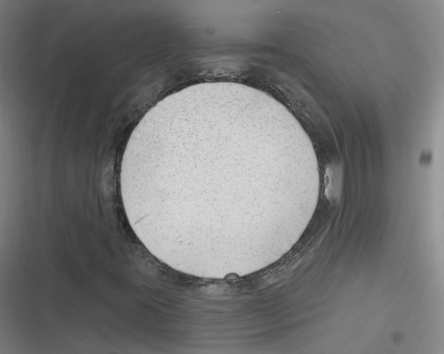 X0000116631395201001081243