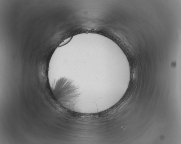 X0000116631396201001081243