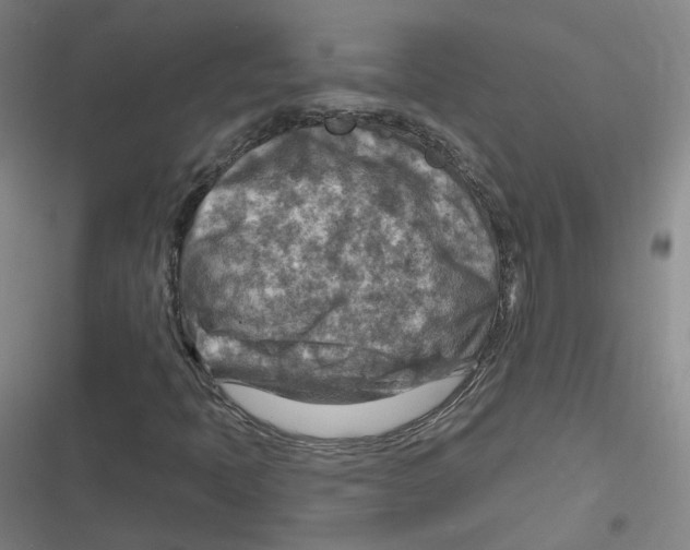 X0000116631397201001081243