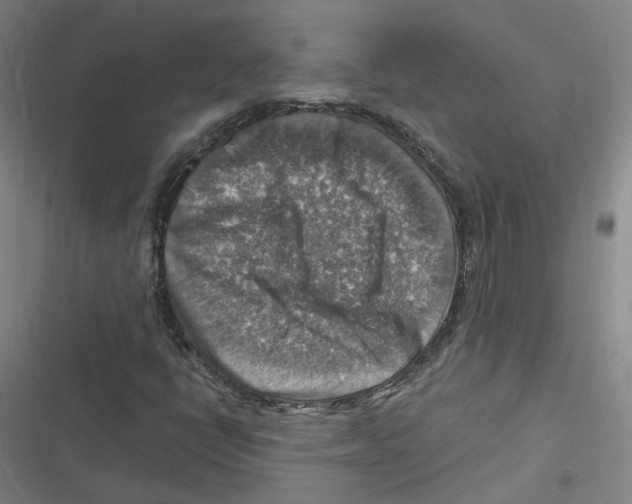 X0000116631398201001081243