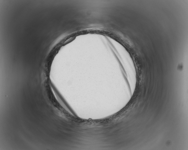 X0000116631400201001081243