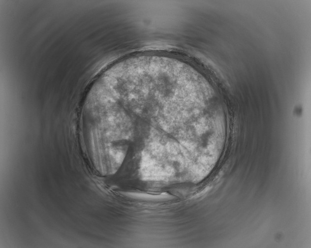 X0000116631401201001081243
