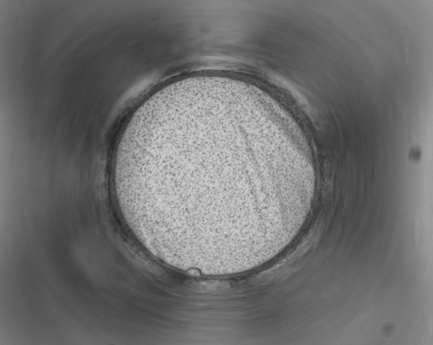X0000116631403201001081243
