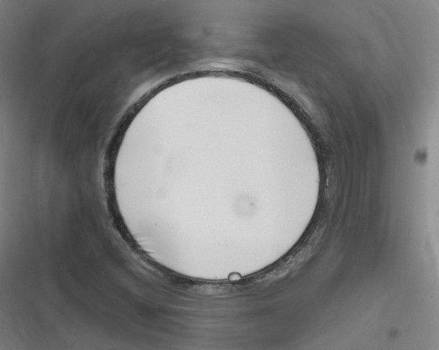 X0000116631404201001081243