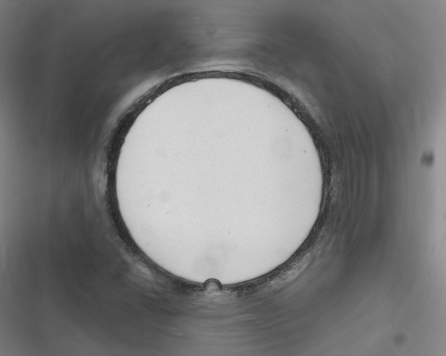 X0000116631406201001081243