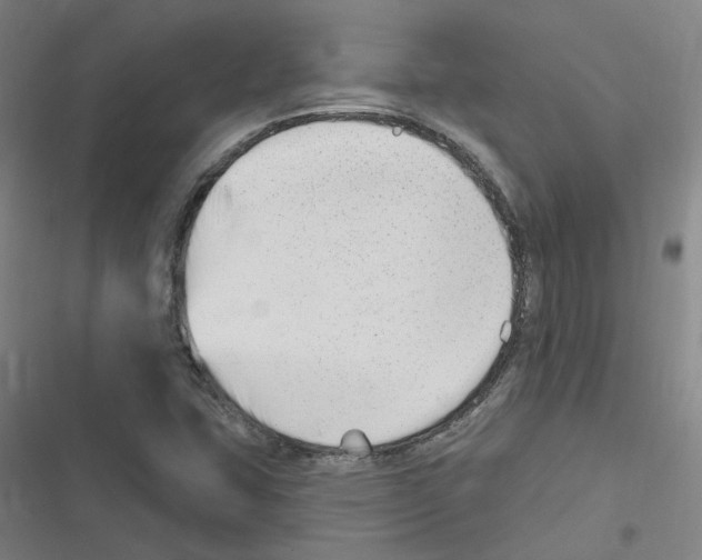 X0000116631407201001081243