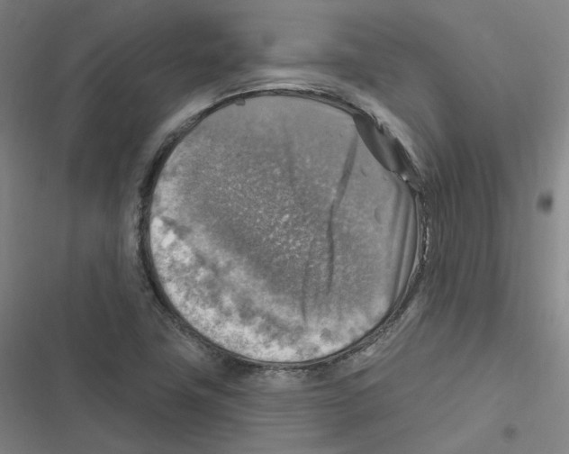 X0000116631411201001081243