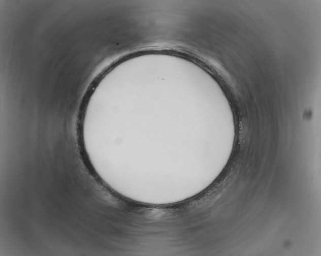 X0000116631412201001081243