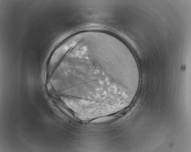 X0000116631413201001081243