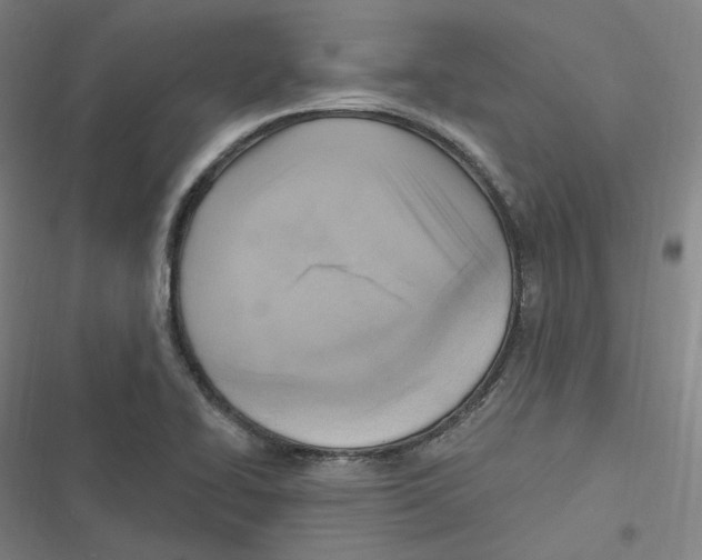 X0000116631414201001081243