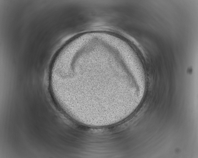 X0000116631415201001081243