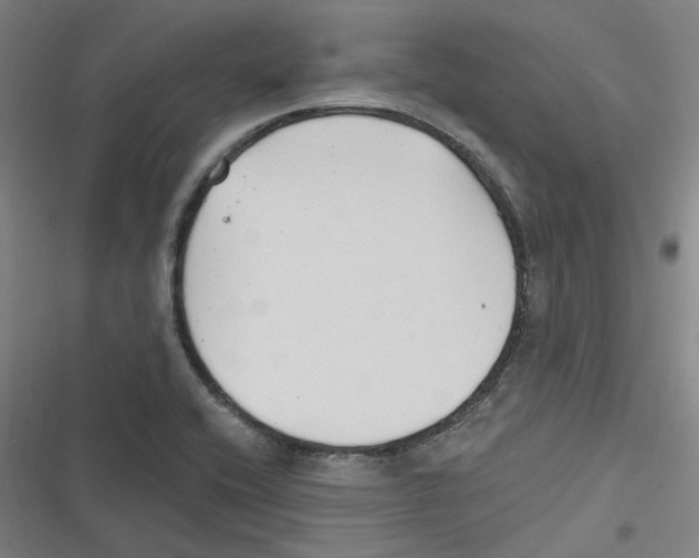 X0000116631416201001081243
