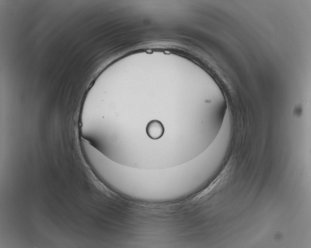 X0000116631417201001081243