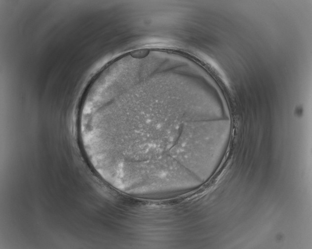 X0000116631419201001081243