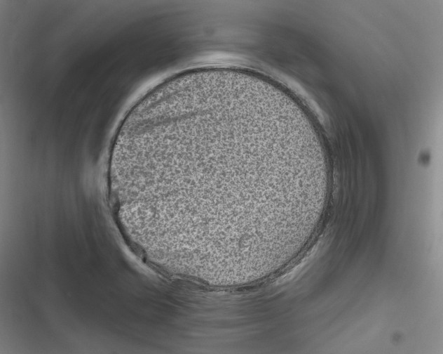 X0000116631421201001081243