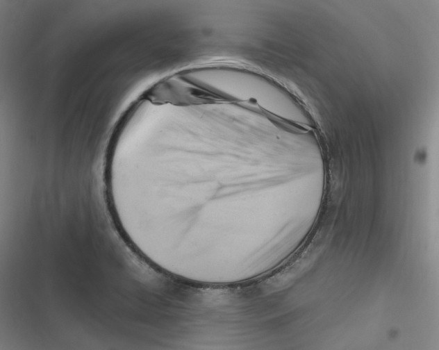 X0000116631422201001081243