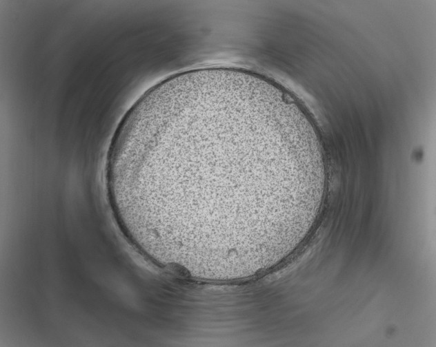 X0000116631423201001081243