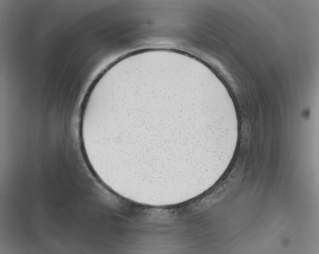 X0000116631424201001081243