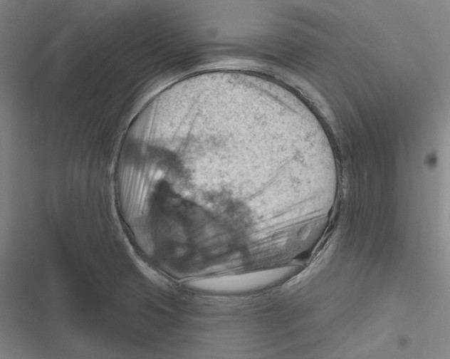 X0000116631425201001081243
