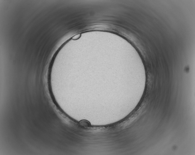 X0000116631426201001081243