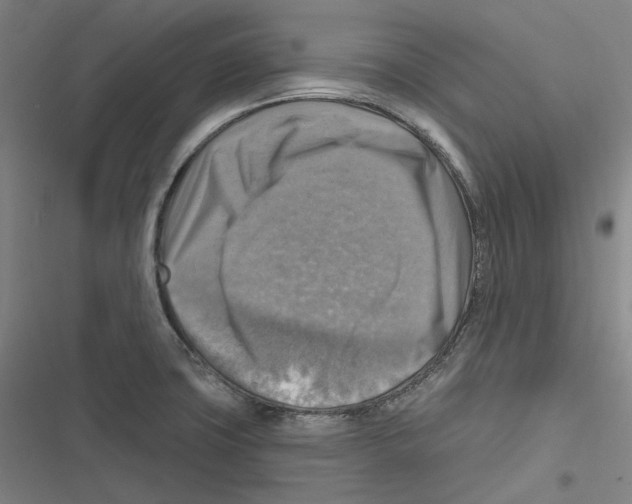 X0000116631427201001081243