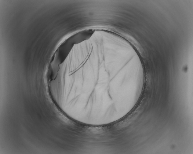 X0000116631428201001081243