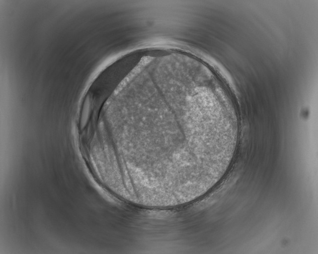 X0000116631429201001081243