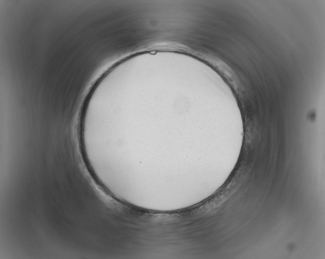 X0000116631430201001081243