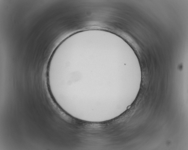 X0000116631431201001081243