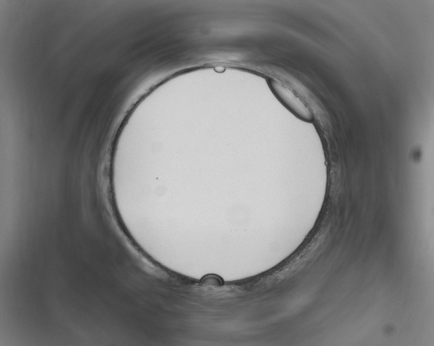 X0000116631432201001081243