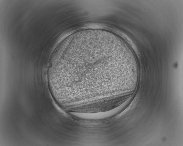 X0000116631433201001081243