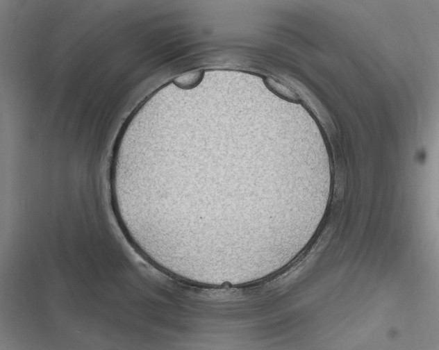 X0000116631434201001081243