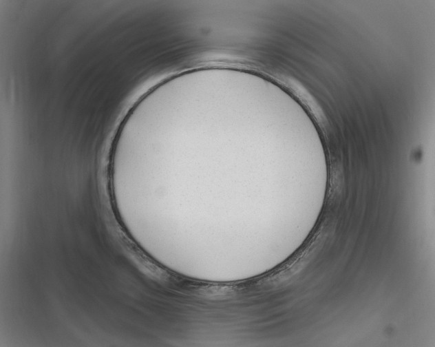 X0000116631435201001081243