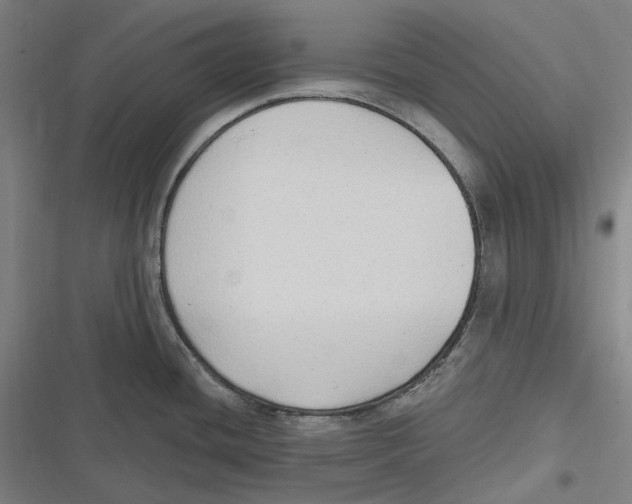 X0000116631436201001081243